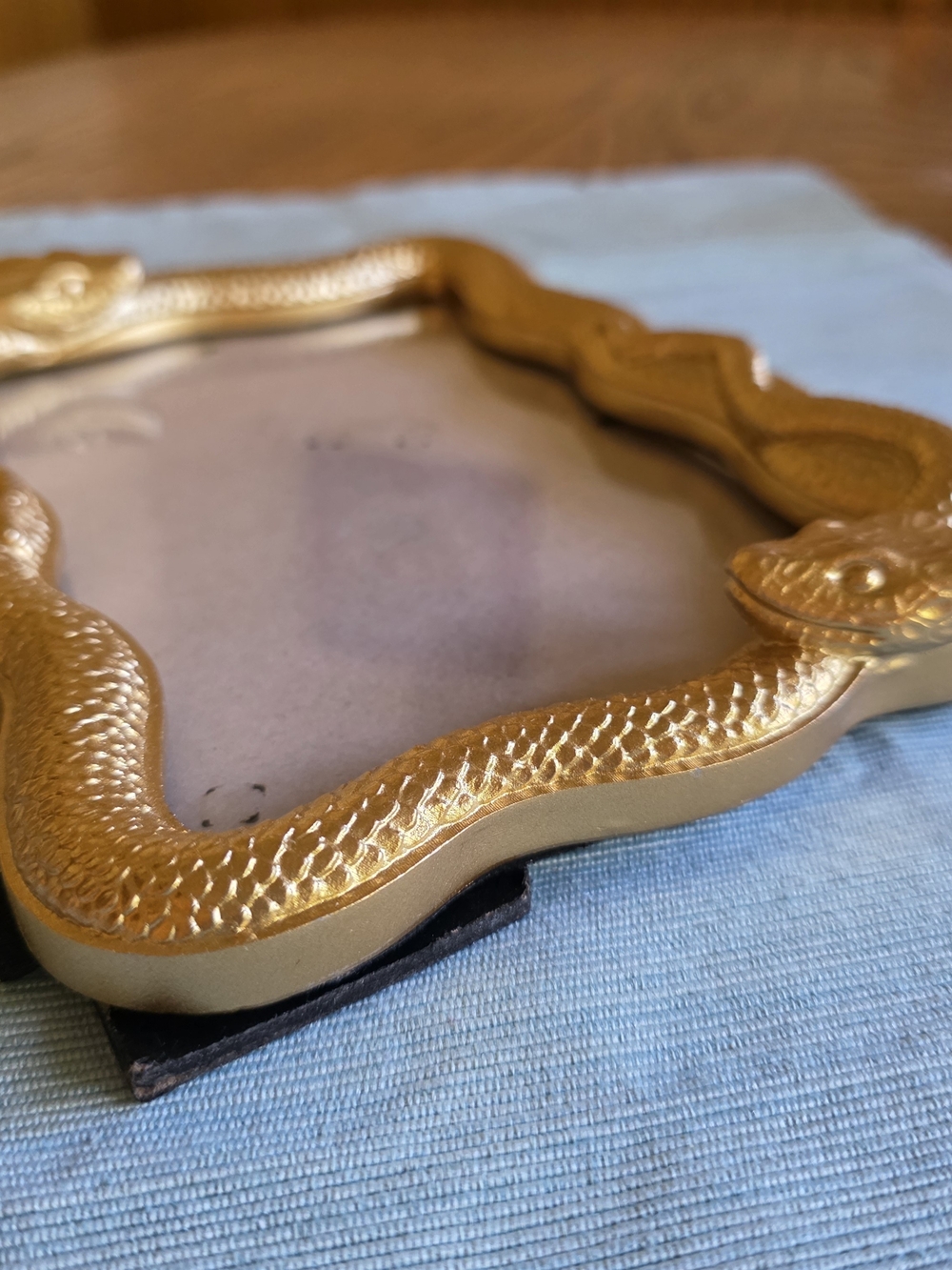 GOLD SNAKE Frame 5x7 Photo - Picture 4 of 16